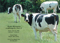 Cows Animal Theme Invitation