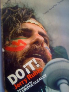 Jerry Rubin Book