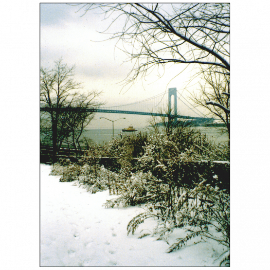 Cover of Christmas Holiday Card - Verrazano Bridge Cover of Christmas Holiday Card - Verrazano Bridge