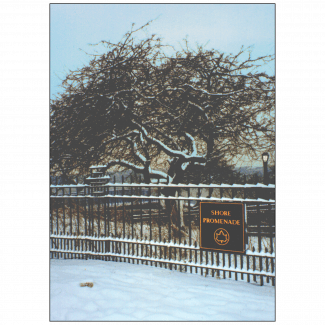 Cover of Christmas Holiday Card