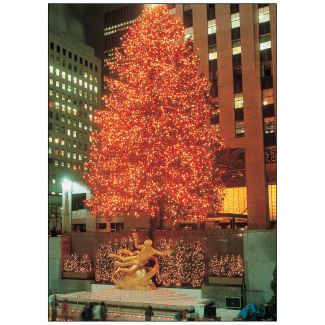 Cover of Christmas Card