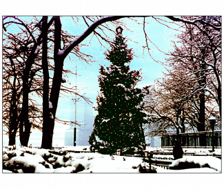Cover of Christmas Holiday Card
