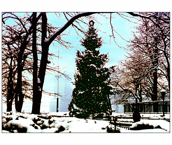 Cover of Christmas Holiday Card Cover of Christmas Holiday Card