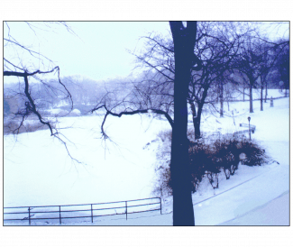 Cover of Christmas Holiday Card