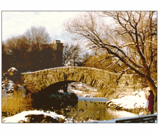 Cover of Christmas Holiday Card