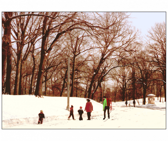 Cover of Christmas Holiday Card
