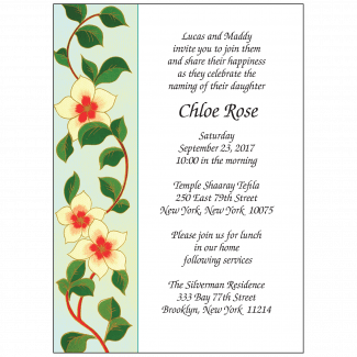 Jewish Baby Naming Invitation Jewish Baby Naming Invitation