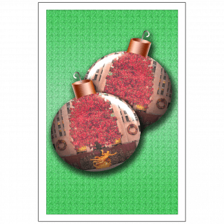 Cover of Christmas Holiday Card