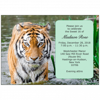 Sweet 16 Invitation Sweet 16 Invitation
