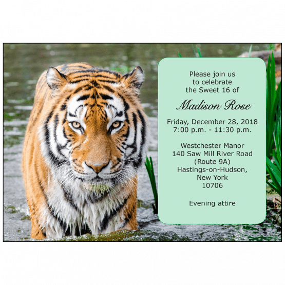 Sweet 16 Invitation Sweet 16 Invitation