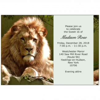 Sweet 16 Invitation Sweet 16 Invitation