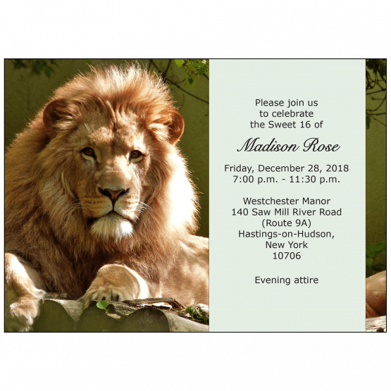 Sweet 16 Invitation Sweet 16 Invitation