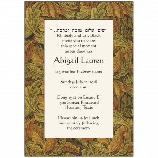 Jewish Baby Naming Invitation Jewish Baby Naming Invitation